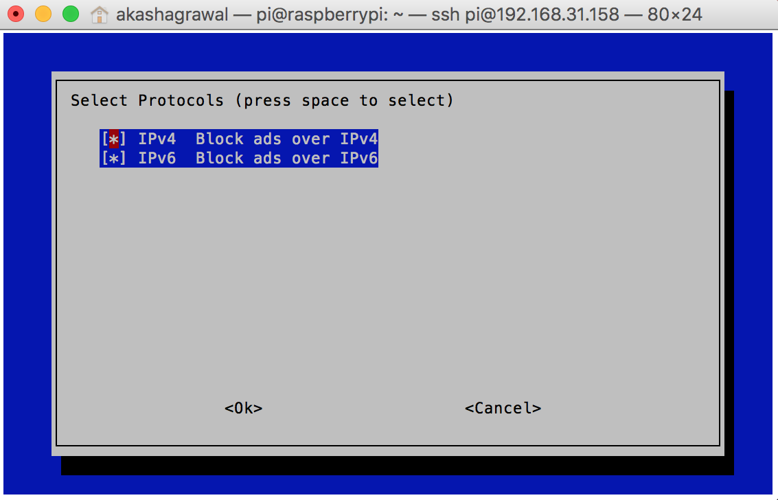 IPv4 Config