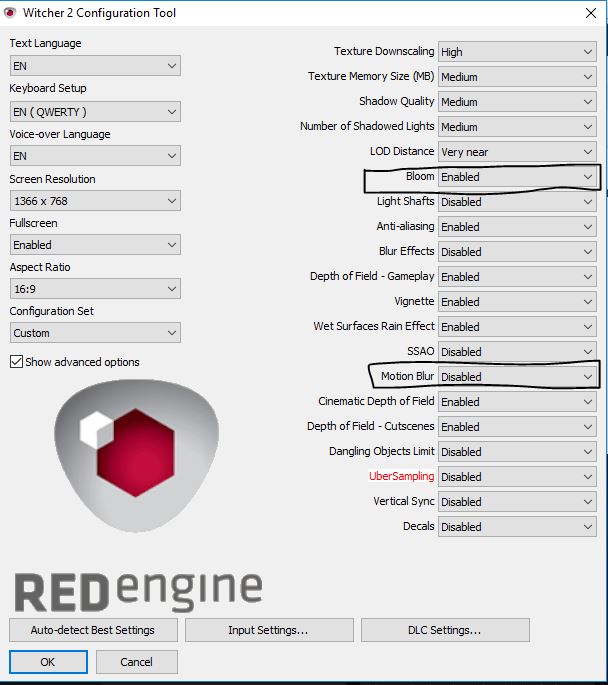 The Witcher 2's graphics editing menu 