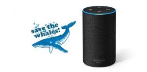 Alexa Donations