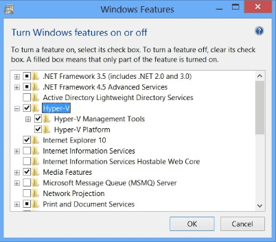 Enable Hyper-V options