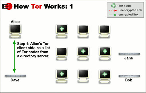 tor browser