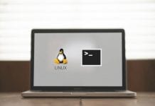 linux terminal emulators