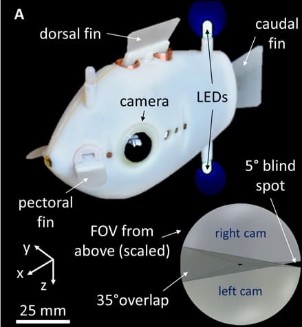 Bluebot: Scientists Create Underwater Robots That Swim Like Schools of Fish