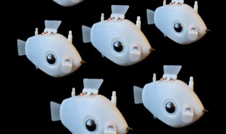 Bluebot: Scientists Create Underwater Robots That Swim Like Schools of Fish
