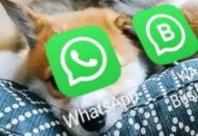 WhatsApp Updates Terms and Privacy Policy: Accept or Lose Access to App