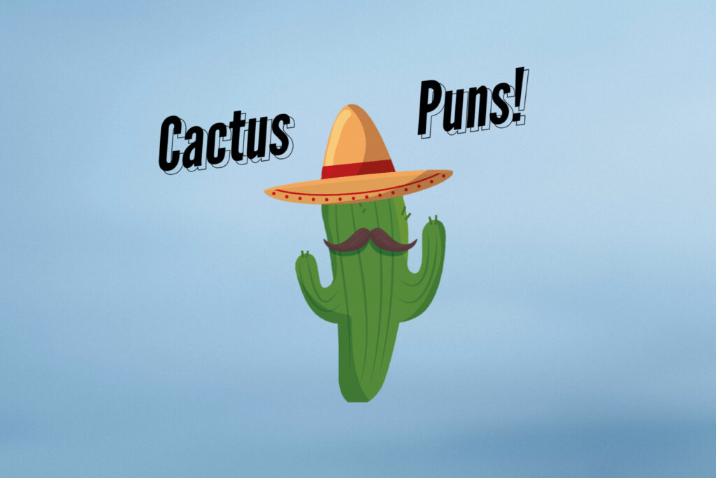 Cactus Puns