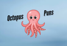 Octopus Puns