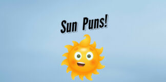 Sun Puns and Jokes