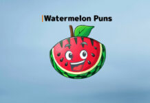 Watermelon Puns