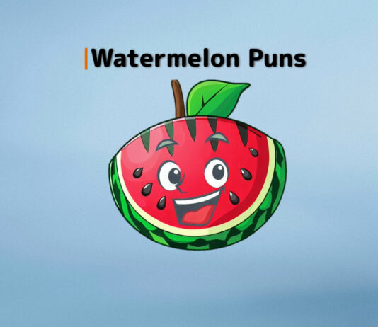 Watermelon Puns