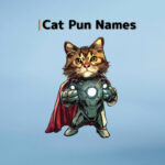 Cat Pun Names