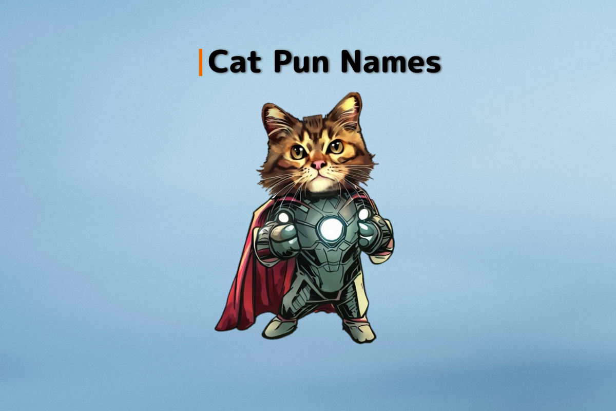 300-cat-pun-names-to-pawsitively-delight-you-agatton