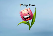 Tulip Puns and Jokes