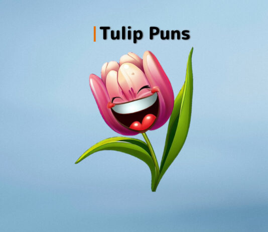 Tulip Puns and Jokes