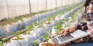 Software Solutions for Farming